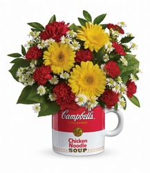 Campbell's Healthy Wishes by Teleflora from Swindler and Sons Florists in Wilmington, OH